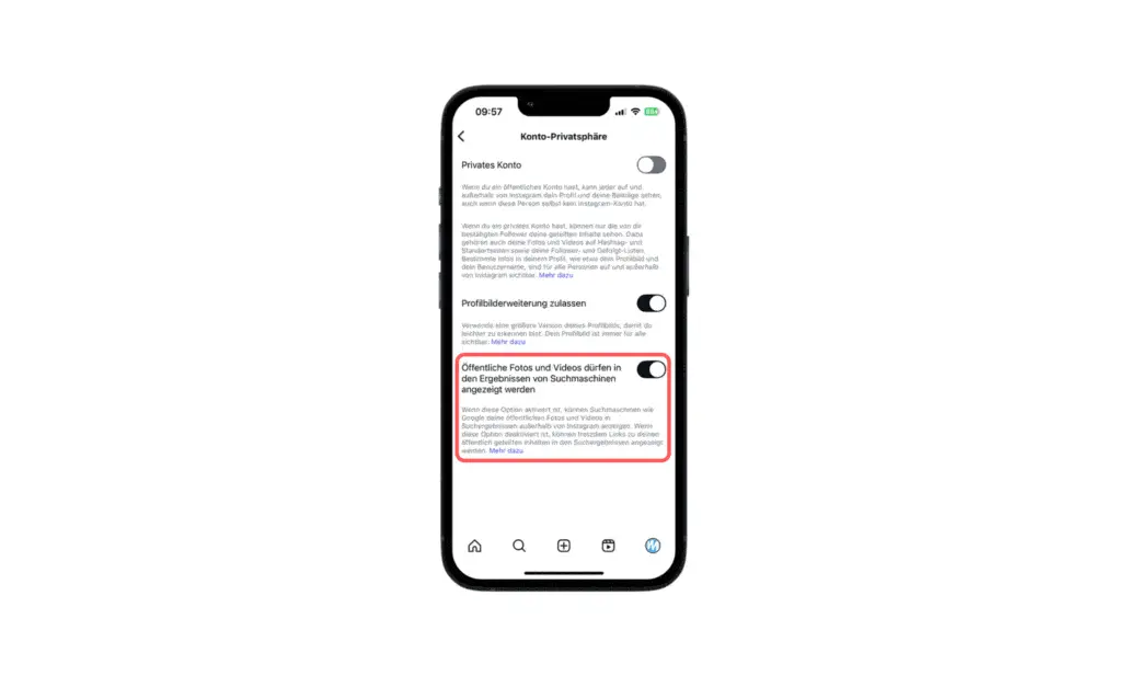 iPhone Screenshot, mit Einstellungen und der Auswahl, ob Social-Media-Beiträge in Google abgebildet werden.